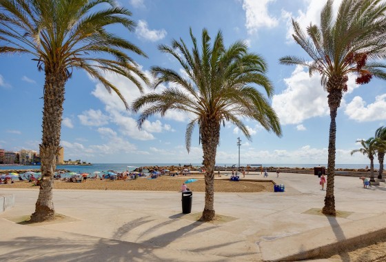 Resale - Apartment / flat - Torrevieja - Costa Blanca