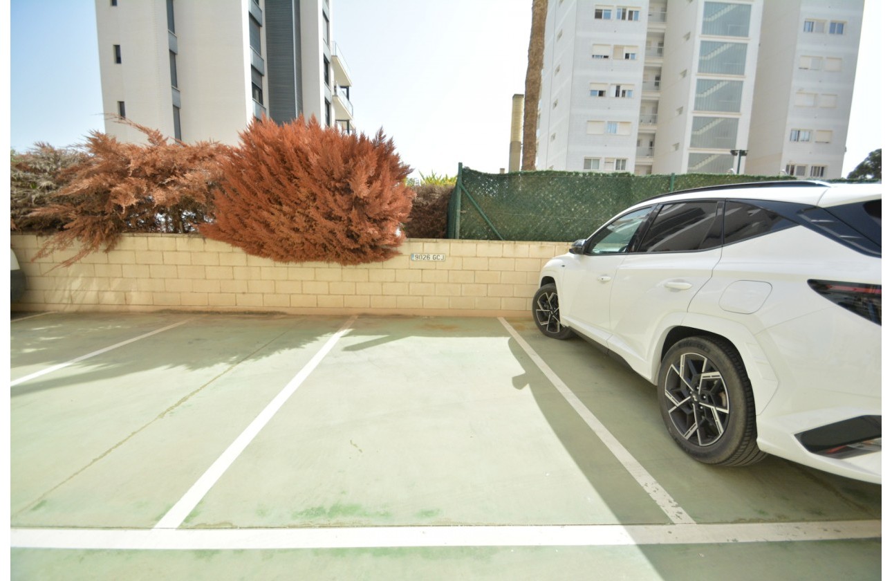Resale - Apartment / flat - Guardamar del Segura - Costa Blanca