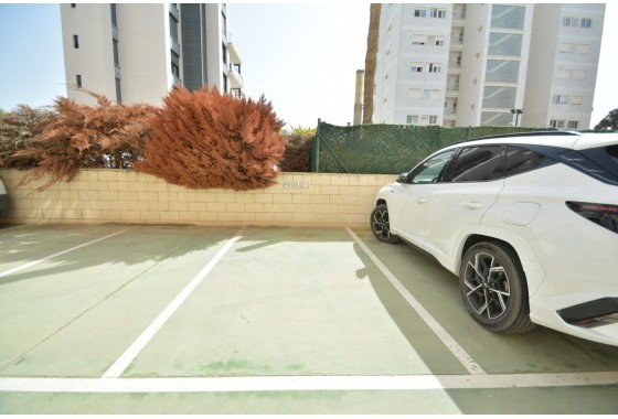 Resale - Apartment / flat - Guardamar del Segura - Costa Blanca