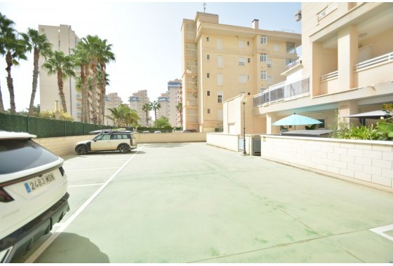 Resale - Apartment / flat - Guardamar del Segura - Costa Blanca