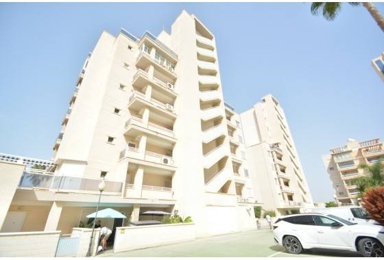 Resale - Apartment / flat - Guardamar del Segura - Costa Blanca
