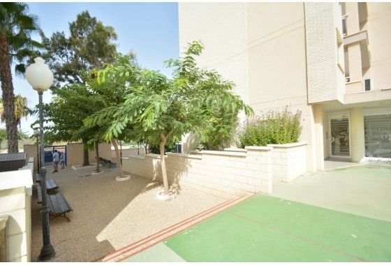 Resale - Apartment / flat - Guardamar del Segura - Costa Blanca