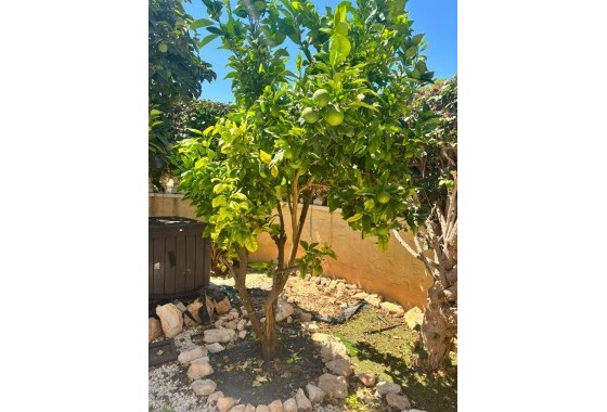 Revente - Villa - Orihuela Costa - Lomas de Cabo Roig