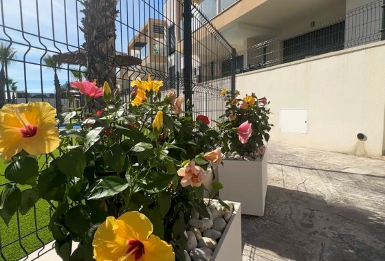 Revente - Bungalow - Orihuela Costa - Costa Blanca