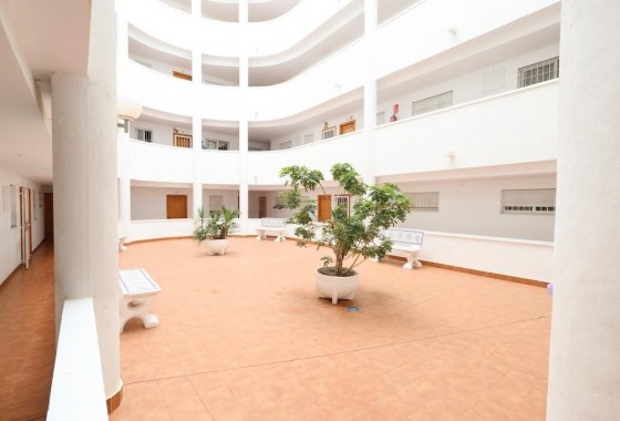 Revente - Appartement - Torrevieja - Costa Blanca