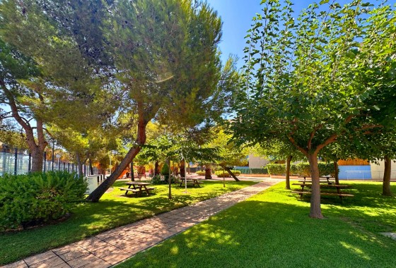 Reventa - Apartamento / piso - Orihuela Costa - Costa Blanca