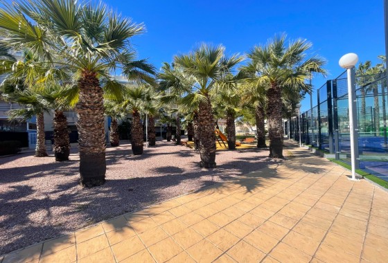 Reventa - Apartamento / piso - Orihuela Costa - Costa Blanca