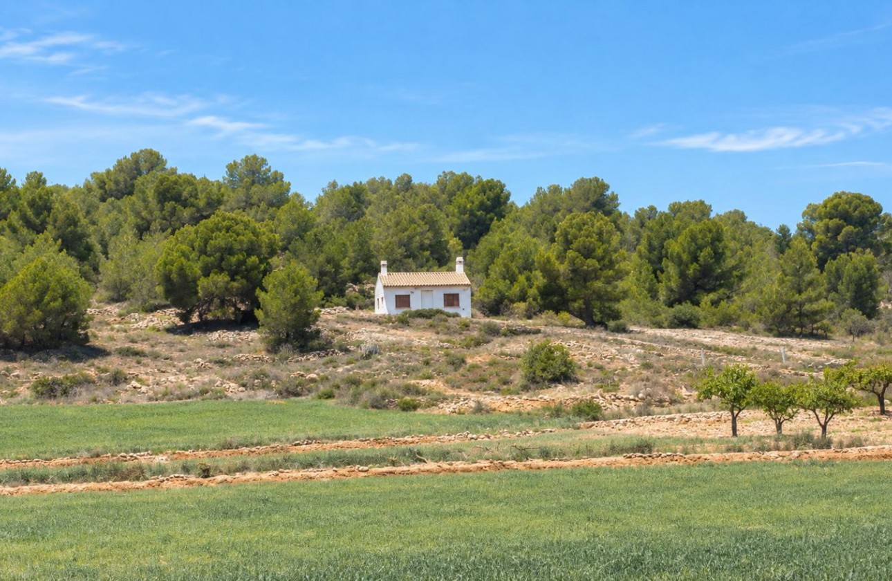 Reventa - Property - Pinoso - Inland