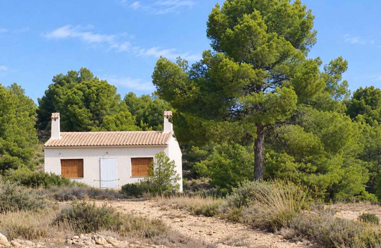 Reventa - Property - Pinoso - Inland
