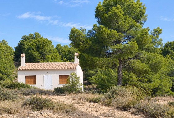 Reventa - Property - Pinoso - Inland