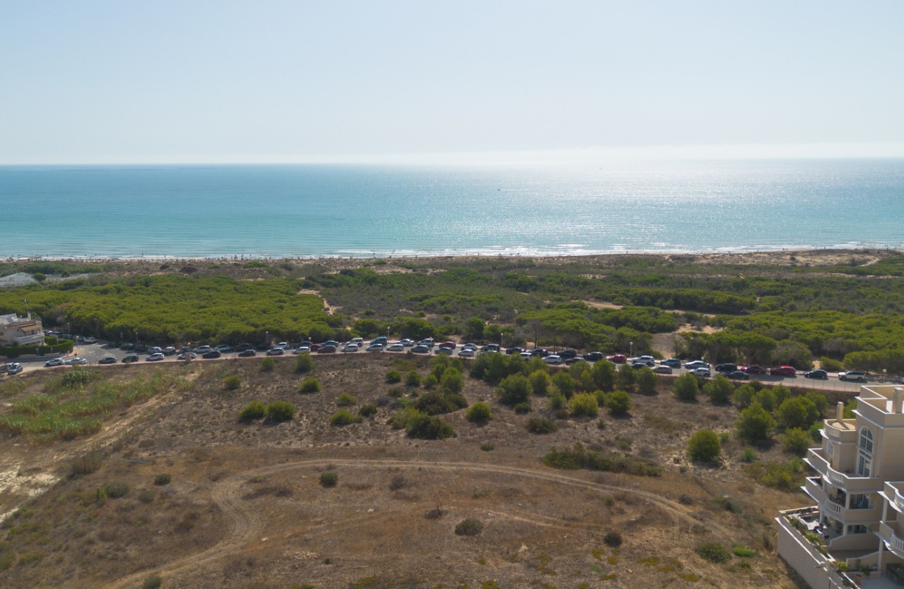 Resale - Apartment / flat - Guardamar del Segura - Costa Blanca