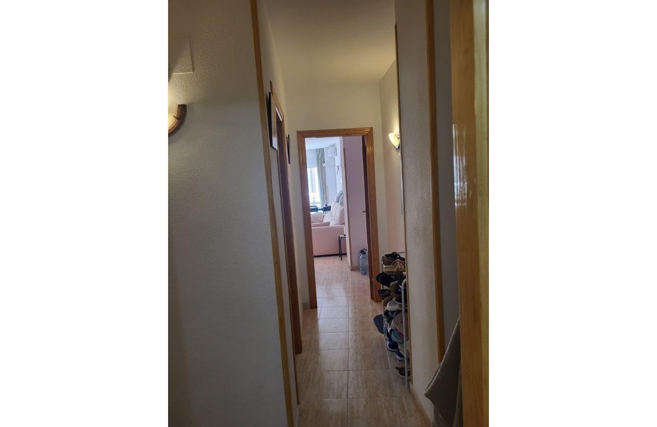 Resale - Apartment / flat - Torrevieja - Estacion de autobuses