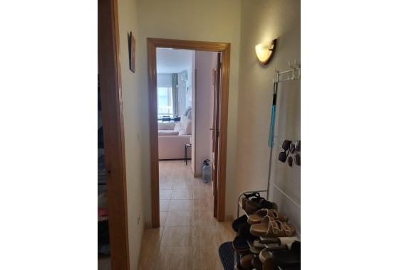 Resale - Apartment / flat - Torrevieja - Estacion de autobuses