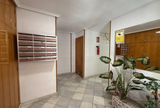 Resale - Apartment / flat - Torrevieja - Centro