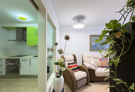 Reventa - Apartamento / piso - Torrevieja - Paseo maritimo