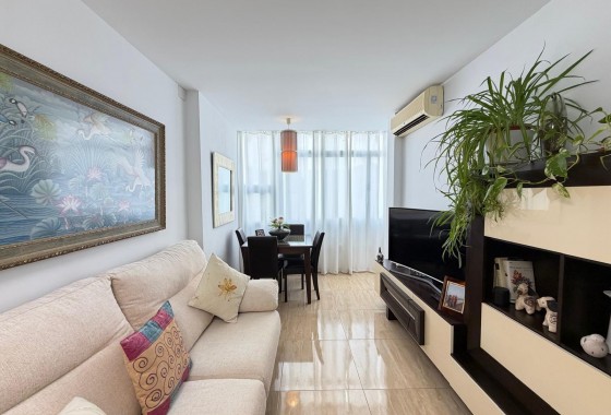 Reventa - Apartamento / piso - Torrevieja - Paseo maritimo