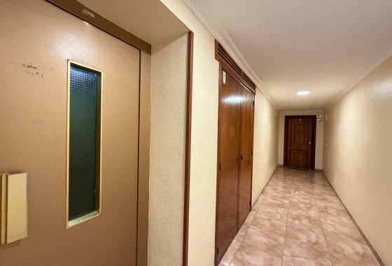 Reventa - Apartamento / piso - Torrevieja - Paseo maritimo