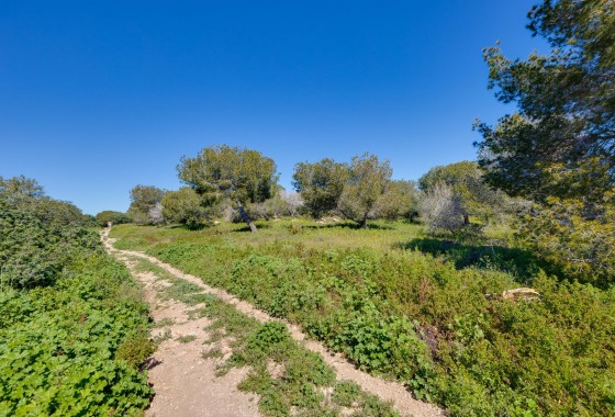 Revente - Villa - Torrevieja - La Siesta - El Salado - Torreta