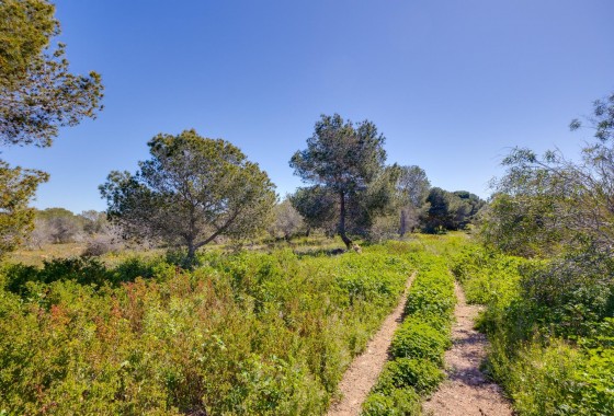 Revente - Villa - Torrevieja - La Siesta - El Salado - Torreta