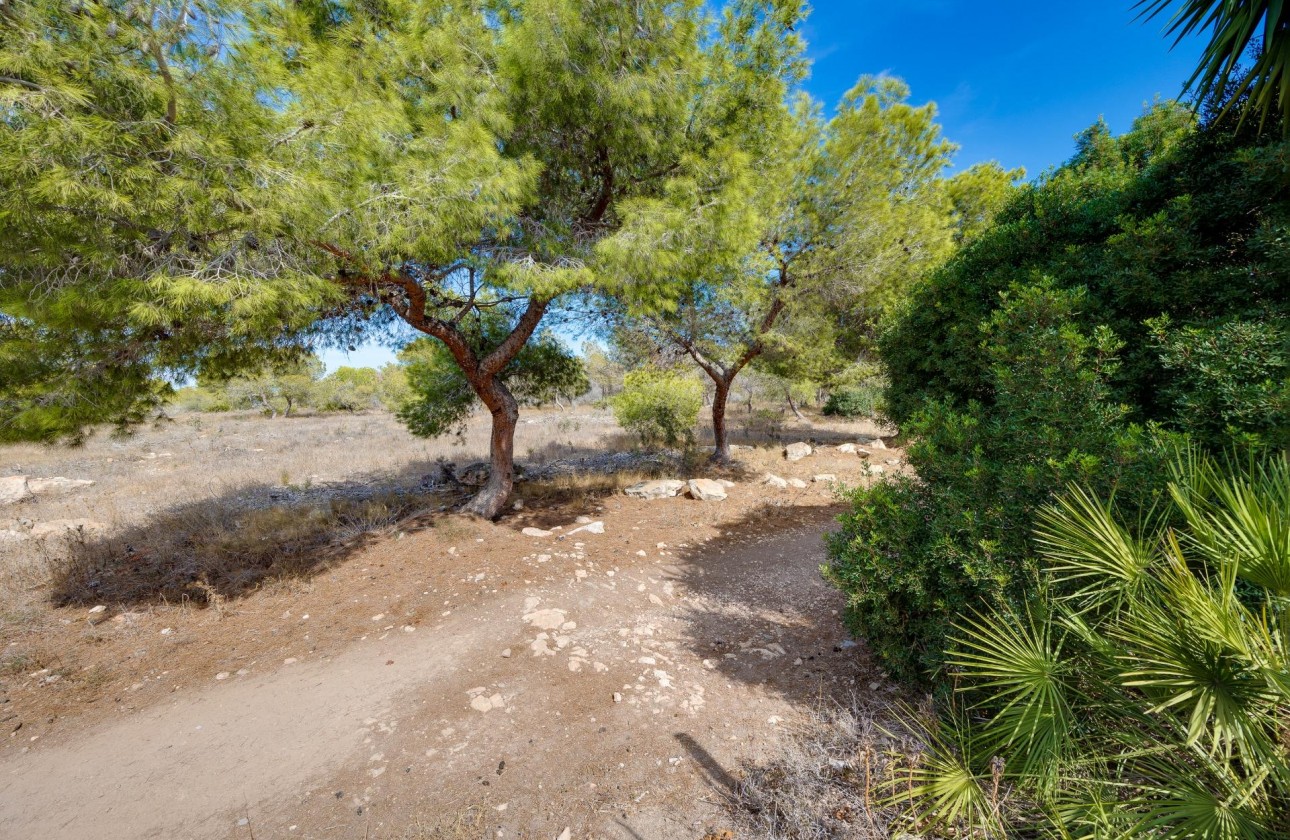 Revente - Villa - Torrevieja - La Siesta - El Salado - Torreta