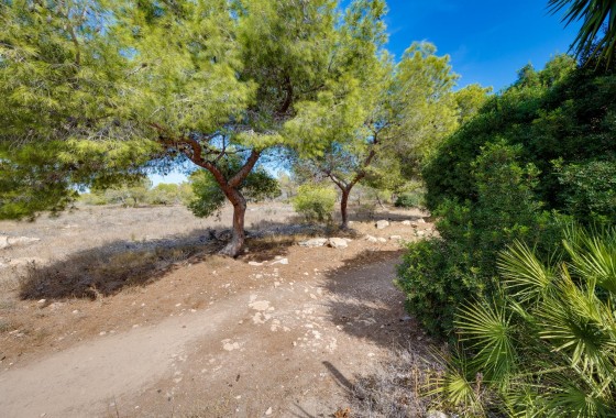 Revente - Villa - Torrevieja - La Siesta - El Salado - Torreta