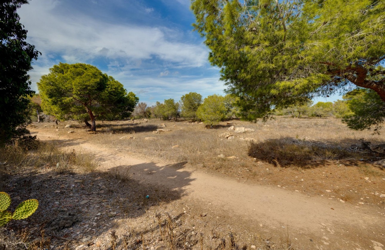 Revente - Villa - Torrevieja - La Siesta - El Salado - Torreta
