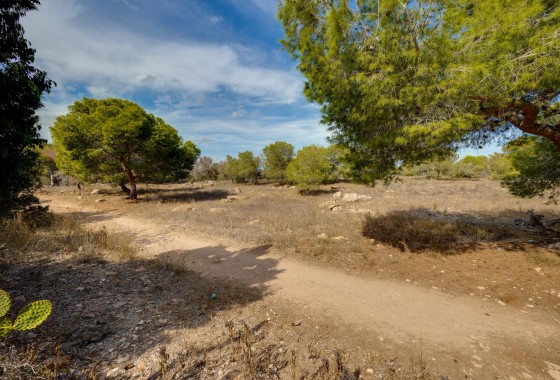 Revente - Villa - Torrevieja - La Siesta - El Salado - Torreta