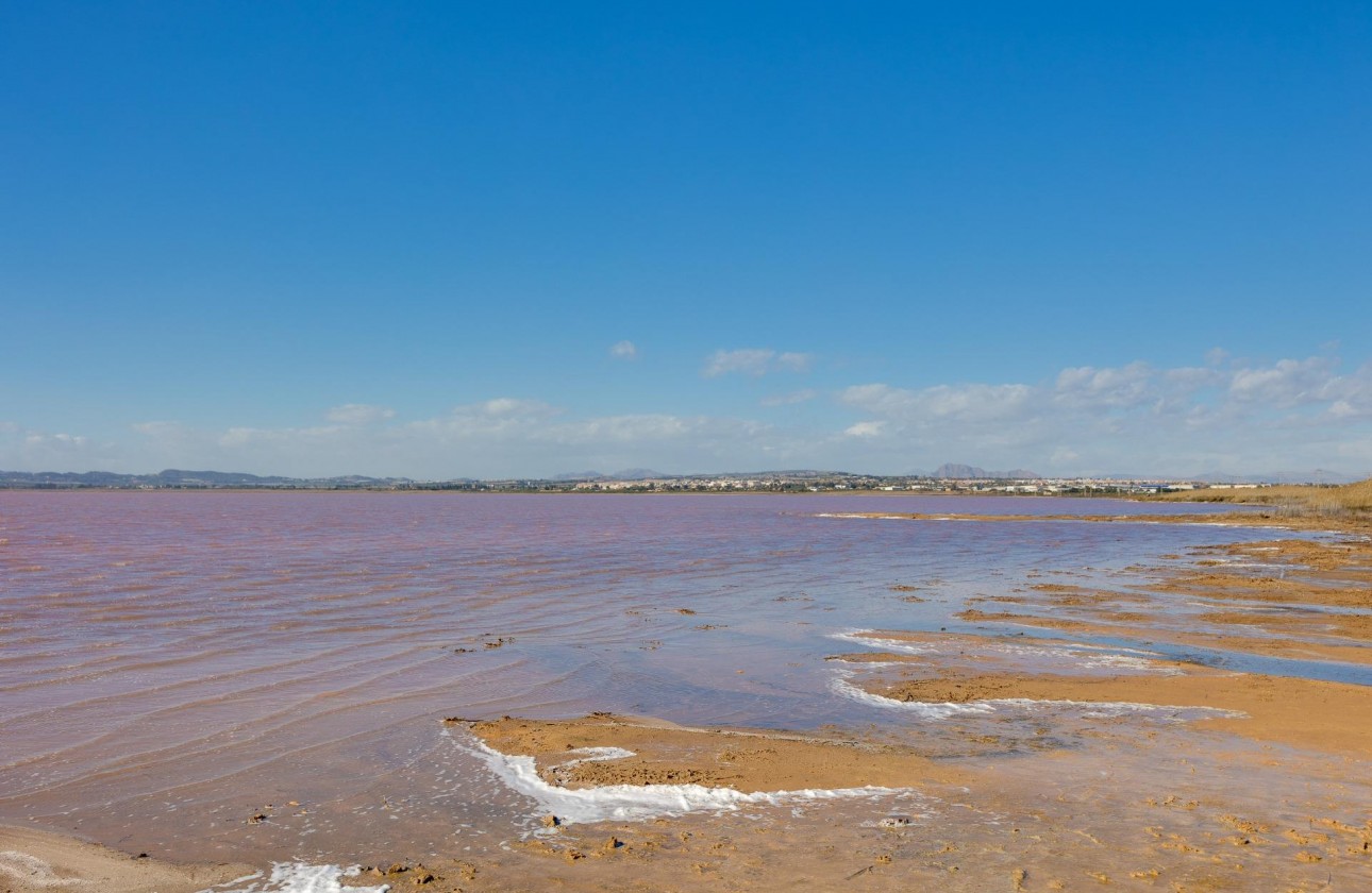 Revente - Villa - Torrevieja - La Siesta - El Salado - Torreta