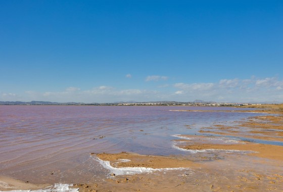 Revente - Villa - Torrevieja - La Siesta - El Salado - Torreta