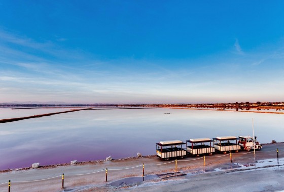 Revente - Villa - Torrevieja - La Siesta - El Salado - Torreta