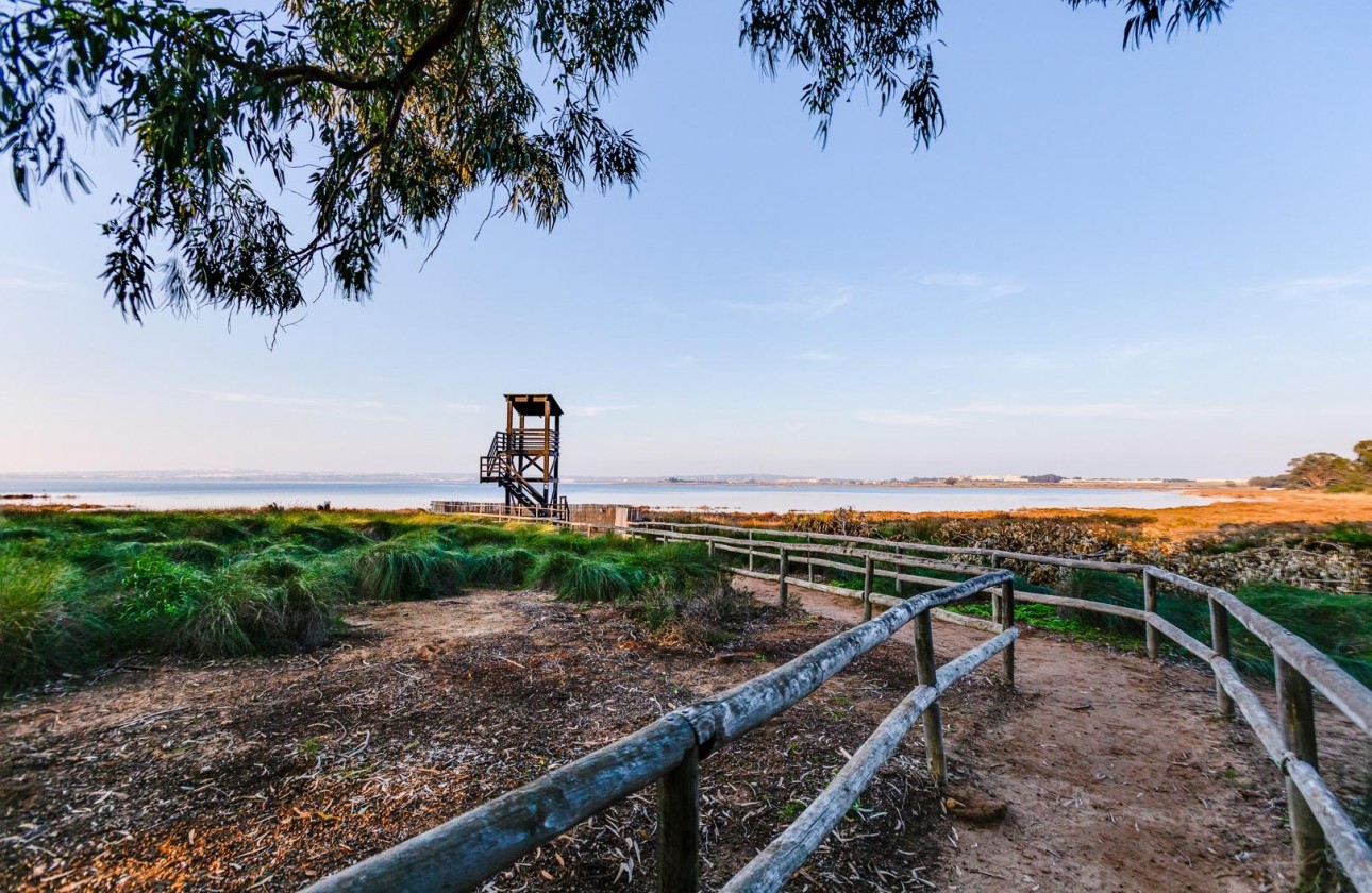Revente - Villa - Torrevieja - La Siesta - El Salado - Torreta