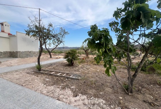 Resale - Villa - La Solana