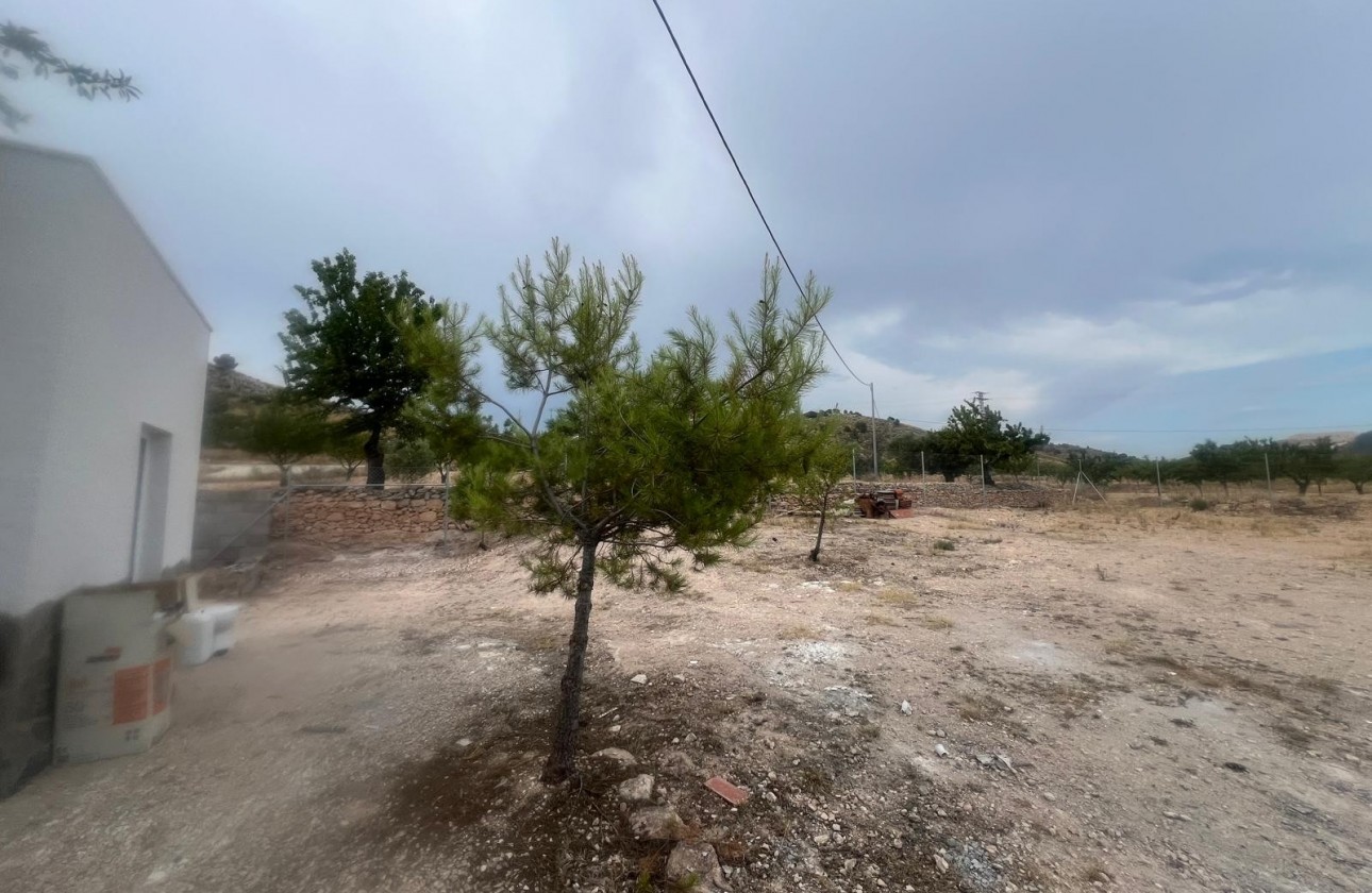 Resale - Villa - La Solana