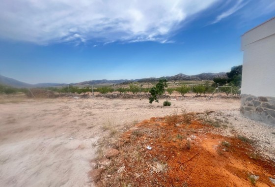 Resale - Villa - La Solana
