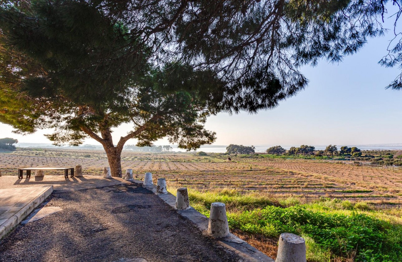 Resale - Bungalow - Torrevieja - La Siesta - El Salado - Torreta