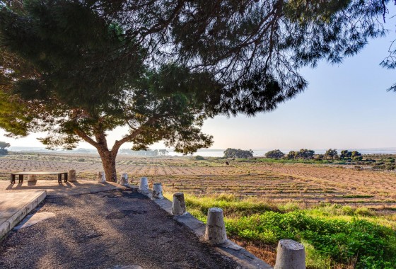 Resale - Bungalow - Torrevieja - La Siesta - El Salado - Torreta