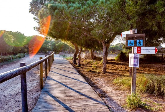 Resale - Bungalow - Torrevieja - La Siesta - El Salado - Torreta