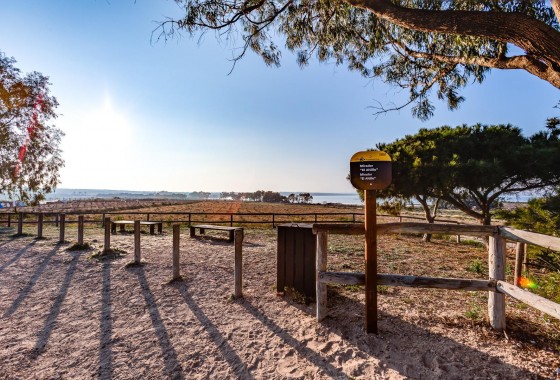 Resale - Bungalow - Torrevieja - La Siesta - El Salado - Torreta