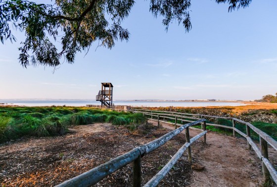Resale - Bungalow - Torrevieja - La Siesta - El Salado - Torreta