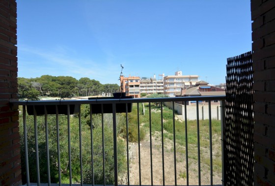 Resale - Apartment / flat - Guardamar del Segura - Costa Blanca
