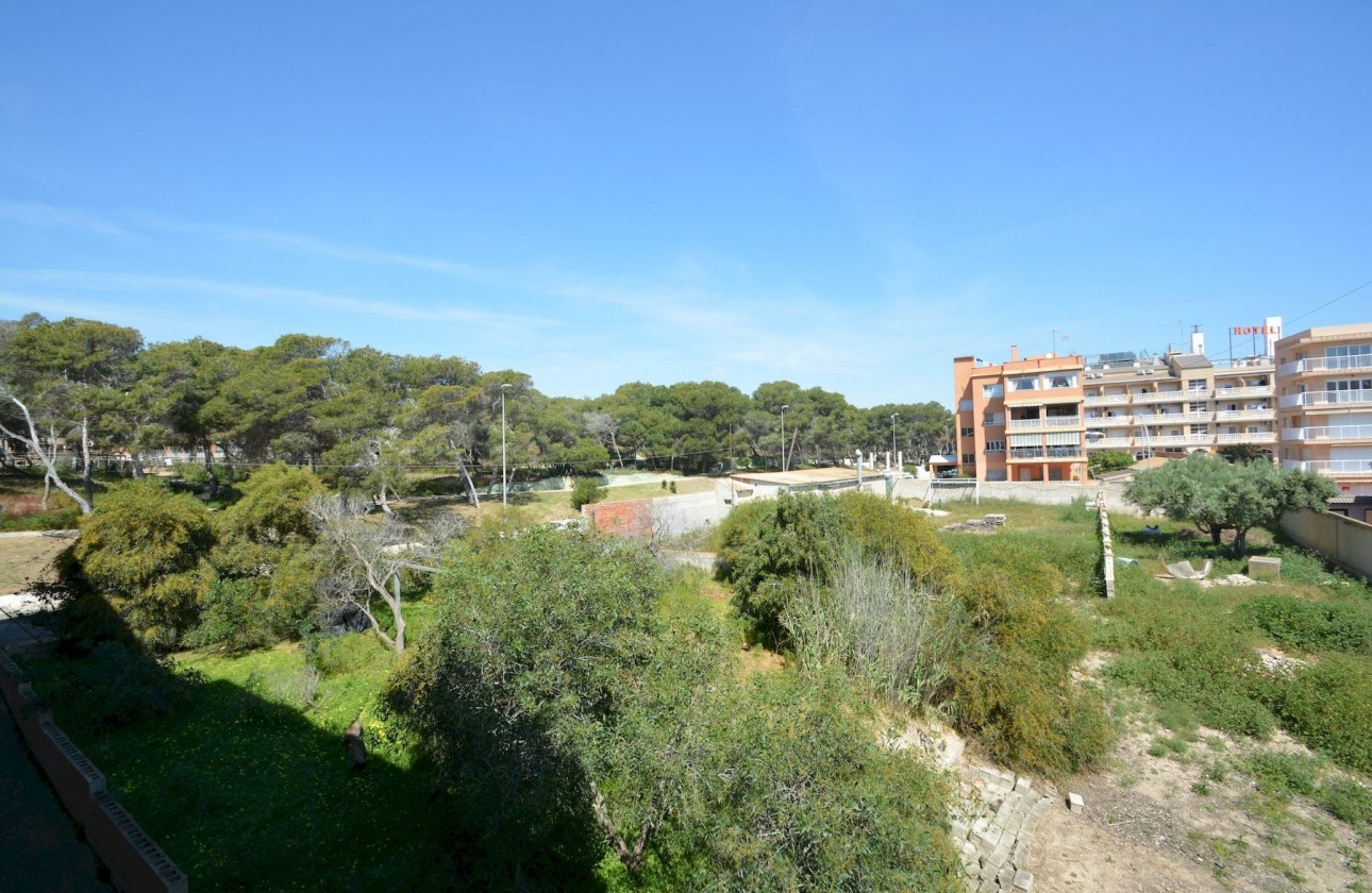 Resale - Apartment / flat - Guardamar del Segura - Costa Blanca
