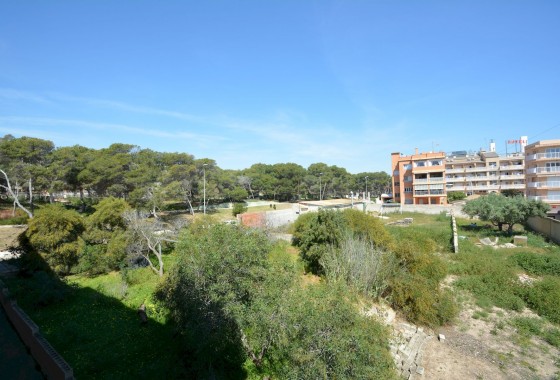 Resale - Apartment / flat - Guardamar del Segura - Costa Blanca