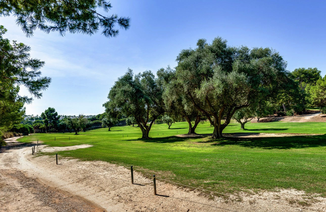 Revente - Villa - Villamartin - Costa Blanca