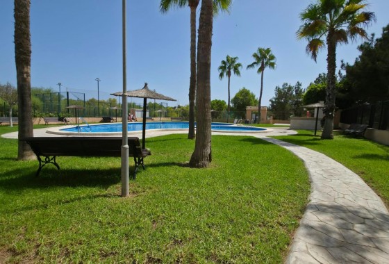 Revente - Bungalow - Torrevieja - Los Balcones - Los Altos del Edén
