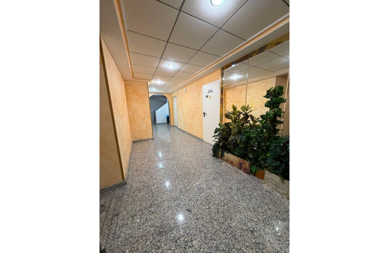 Resale - Apartment / flat - Torrevieja - Estacion de autobuses