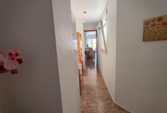 Reventa - Ático - Torrevieja - Paseo maritimo