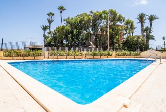 Revente - Appartement - Torrevieja - Aguas Nuevas