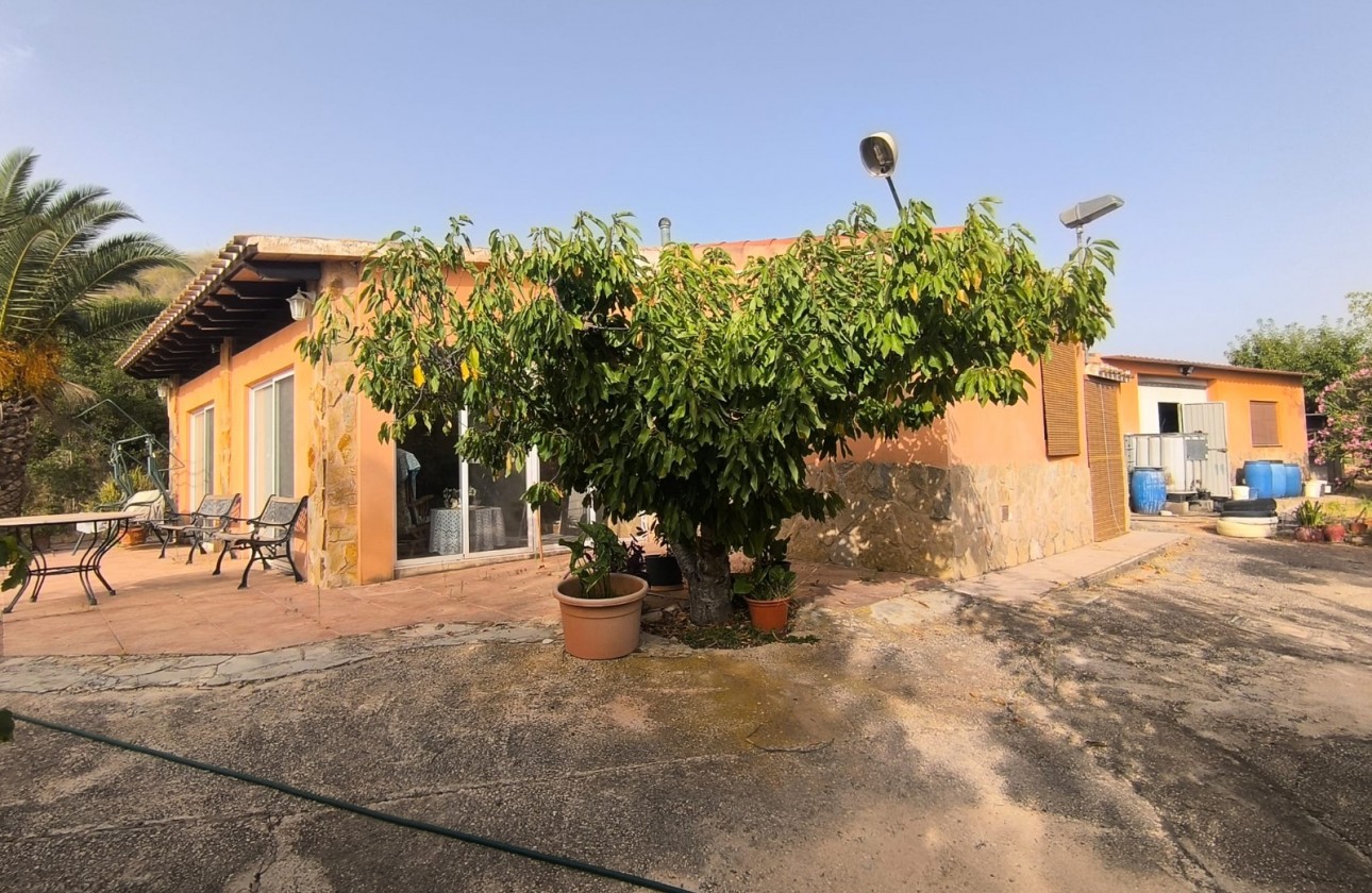 Reventa - Property - Pinoso - Inland