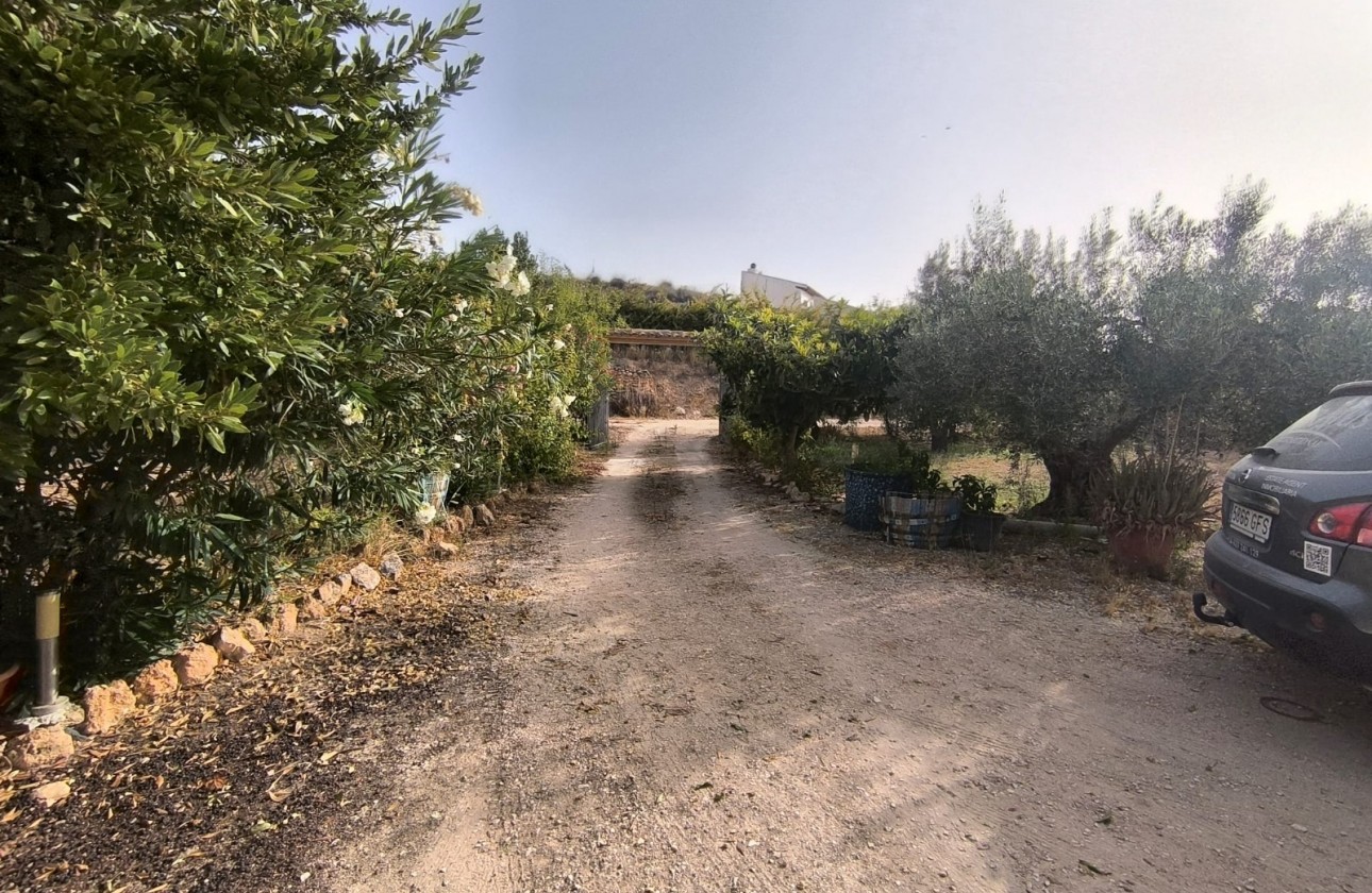 Reventa - Property - Pinoso - Inland