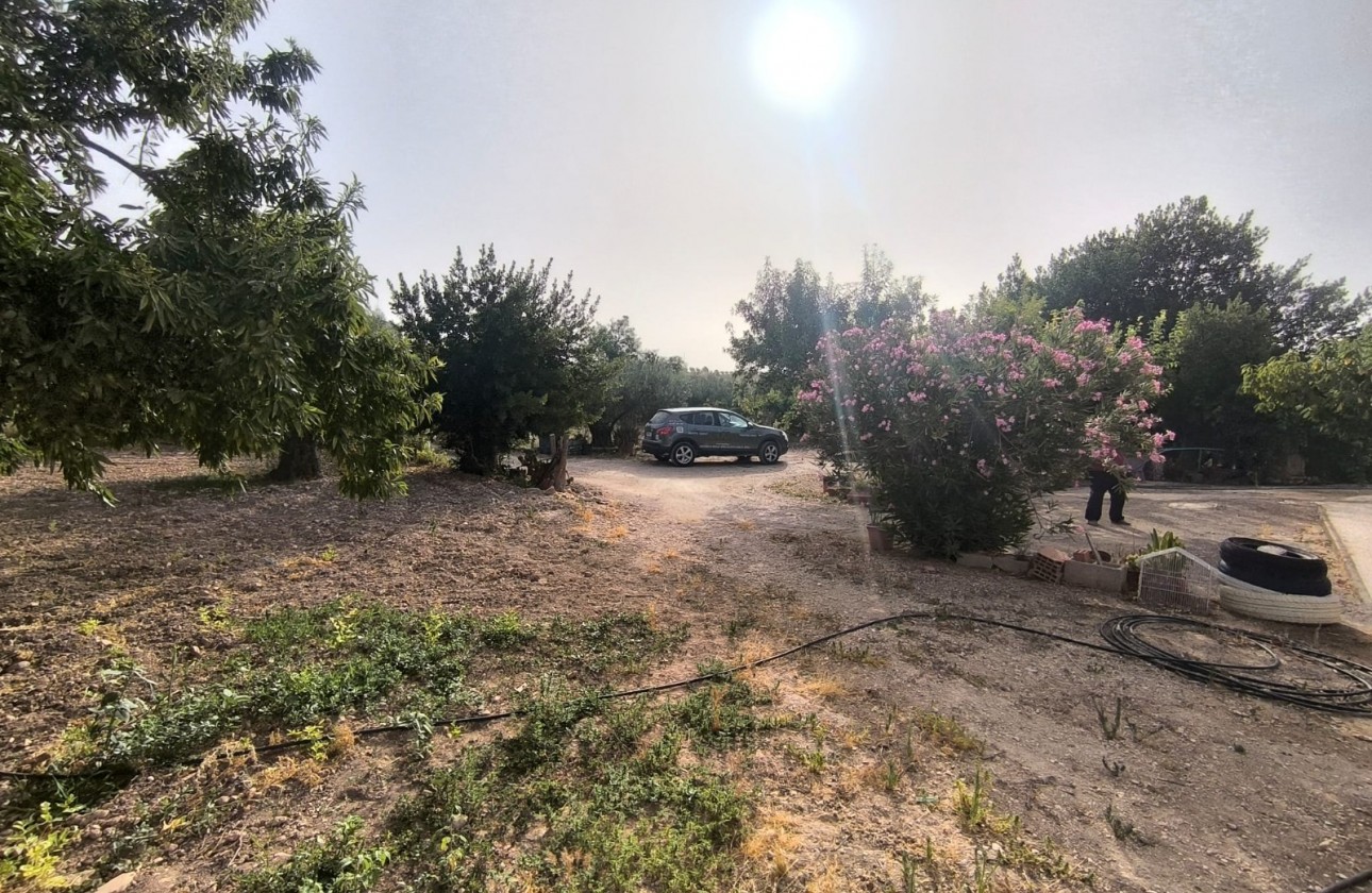 Reventa - Property - Pinoso - Inland